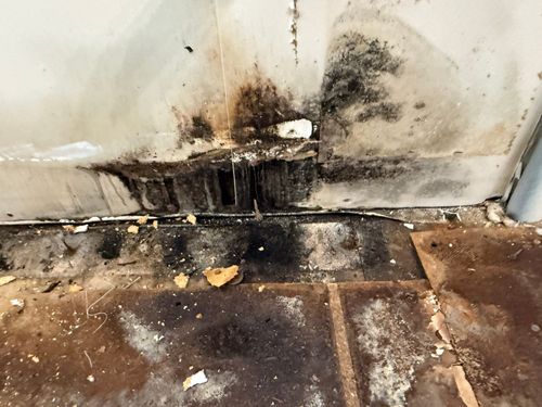 Consulting for ACM Environmental in Salt Lake City, UT