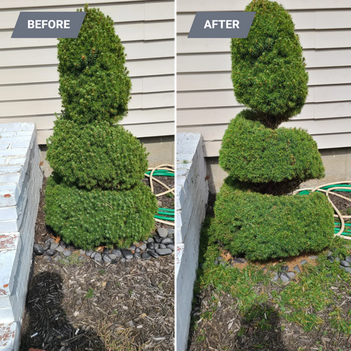  for RK Outdoor Services in Weare, NH