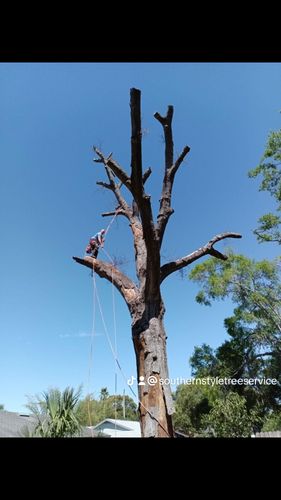All Photos for A Southern Style Tree Service in Orlando, FL