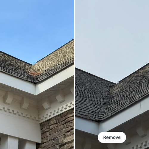 Roof washing  for Paul's Lawn Care and Pressure Washing in Wilson, NC