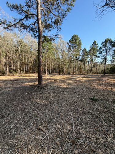  for 903 Mulching in East Mountain, TX