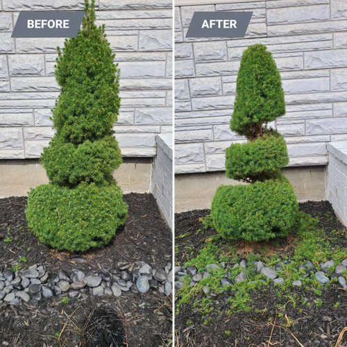  for RK Outdoor Services in Weare, NH