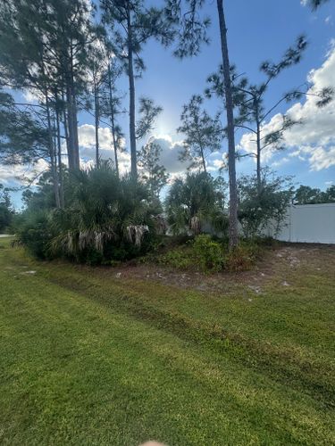 Landscaping for Rize N’ Grind  in Punta Gorda, FL