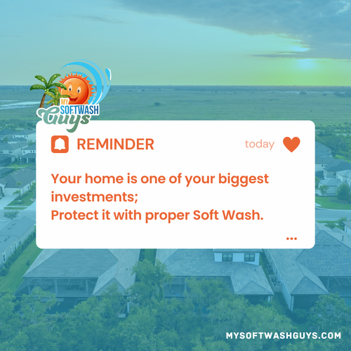  for My Soft Wash Guys in Venice, FL