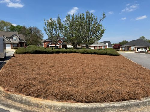 All Photos for Myles Mows in Augusta, GA