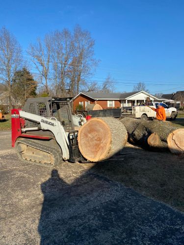 All Photos for Atwood’s Tree Care in Liberty,  KY