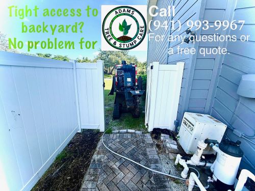 Stump Removal for Adam's Tree and Stump Care in Sarasota, FL