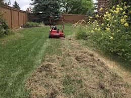 Landscaping for Sals Lawn and Landscape in Oak Lawn, IL
