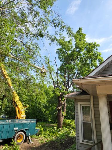 Tree Removal for Smitty's Tree Service in Danville, VA