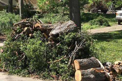 All Photos for Red Line Window Rescue in Sarasota, FL