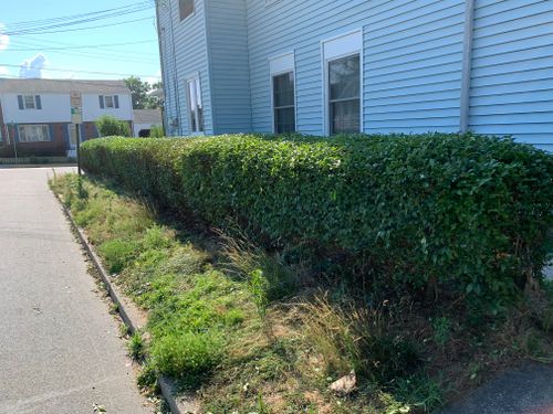 Hedge Trimming for Murray Mowing and More in Ashaway, RI