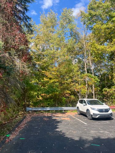  for J&E Tree & Excavation Services in Sandy, PA