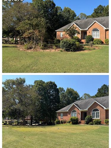 Brush Cutting and Removal for Fayette Property Solutions in Fayetteville, GA