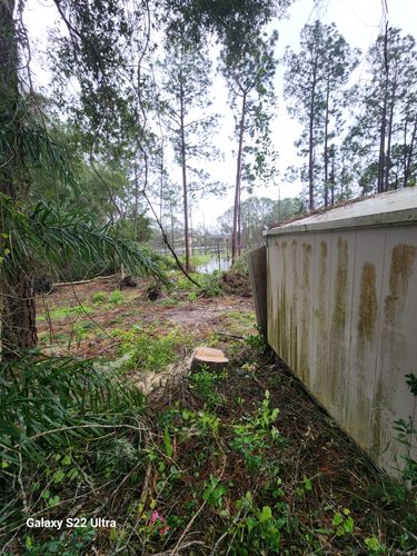 All Photos for Highlife Tree Care And Landscaping in Altamonte Springs, FL