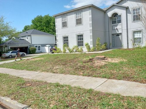 All Photos for A Southern Style Tree Service in Orlando, FL