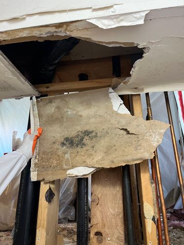 Mold Remediation for ACM Environmental in Salt Lake City, UT