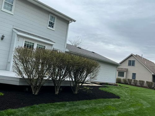 Shrub Trimming for Mark’s Mowing & Landscaping LLC  in Ashville, OH