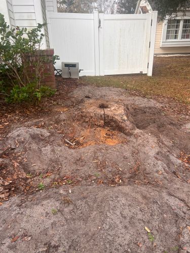  for Greene Acres Stump Grinding in Plant City, FL