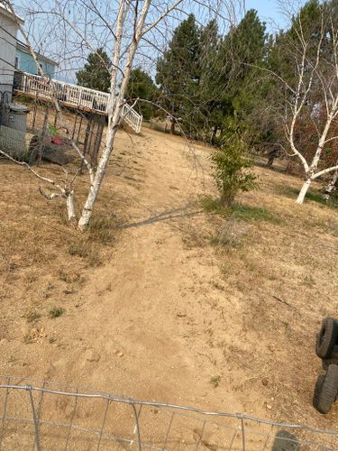 Tree Removal for Arthur Construction in Deer Park, WA