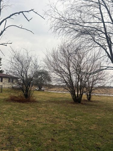  for Dig-It Tree Company in Mason, OH