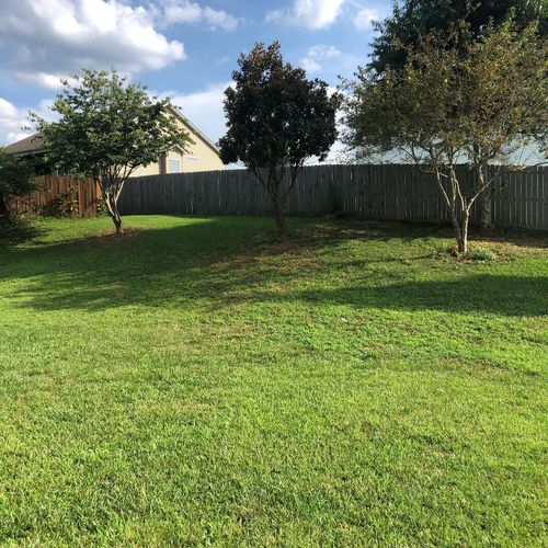 Fall and Spring Clean Up for Kyle's Lawn Care in Kernersville, NC