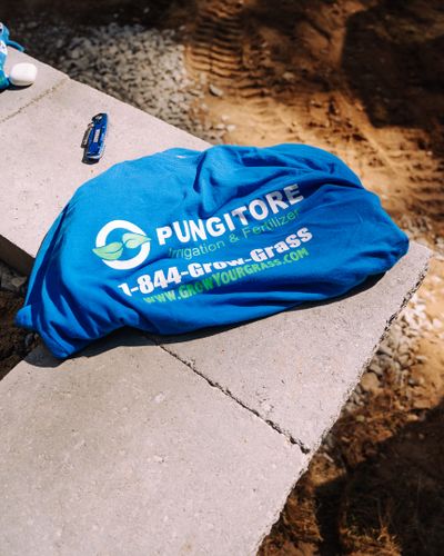 Fertilizer Program for Pungitore Landscapes, Irrigation & Fertilizer in Hingham, MA