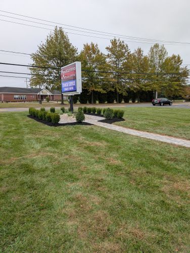 Privacy Plantings for Ettere Landscape Services in Flemington, NJ