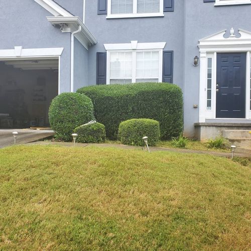 Shrub Trimming for Hendrix Family Landscaping in Dallas, GA