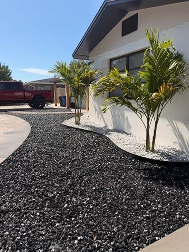 Planting for Team Tolson Landscape in Tampa Bay, FL