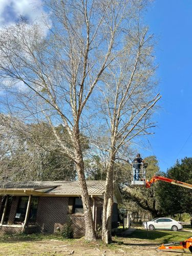  for Southern Venom Services in Daphne, AL