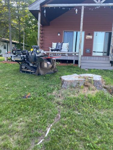 Stump Grinding for Bear Creek Tree Service LLC in Rudyard, MI