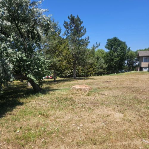  for Two Fellers Tree Service in Buffalo, WY