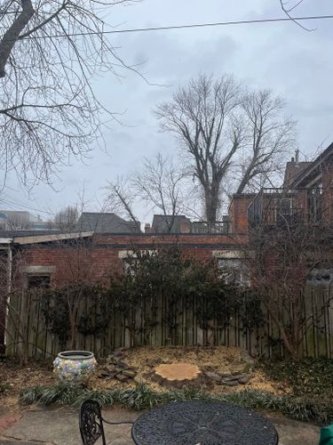 Fall Clean Up for Precision Tree Service, Inc. in Ryland Heights, KY