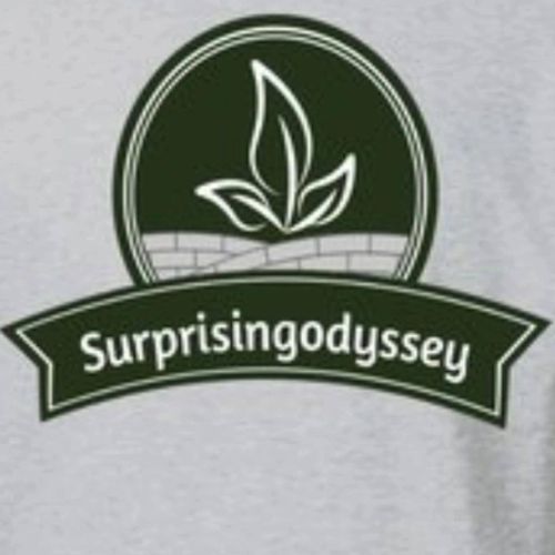 Landscaping for Surprising Odyssey in Gibsonville, NC