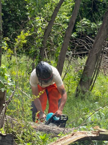 All Photos for Ramirez Tree Care in Elkin, NC