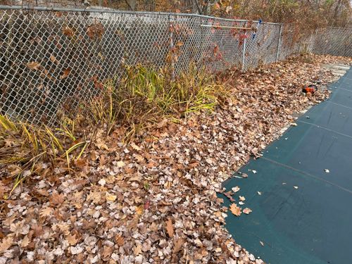 Fall Clean Up for CM & Sons Landscaping LLC in Benton, ME