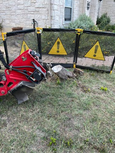 Tree Removal for Oakley’s Stump ‘N Grind in Leander, TX