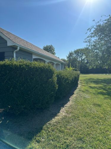 Shrub Trimming for OT Lawn and Landscaping LLC in Carey, OH