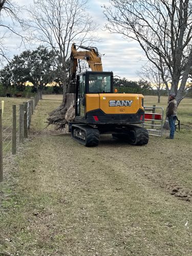 All Photos for Warners Tree Solutions in Live Oak, FL