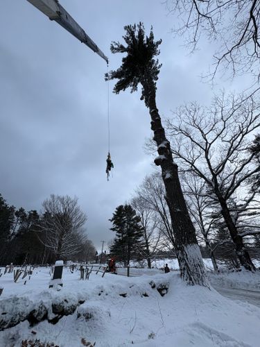  for Clifford’s Quality Tree Care & Landscaping in Enfield, NH