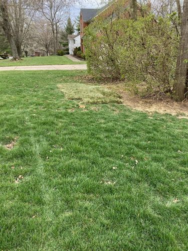  for My Lawn Solutions LLC in Milford, OH