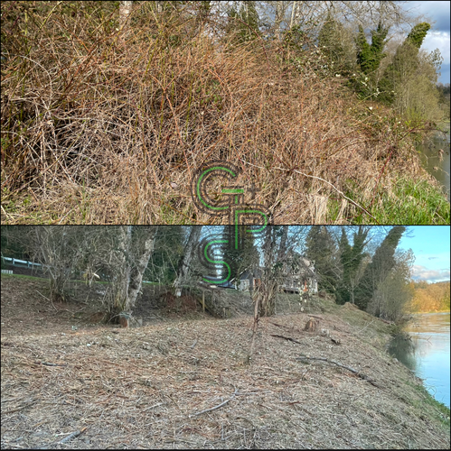 Brush Clearing - Bramble Clearing - Blackberry Clearing for Golovin Property Services LLC in Marysville, WA