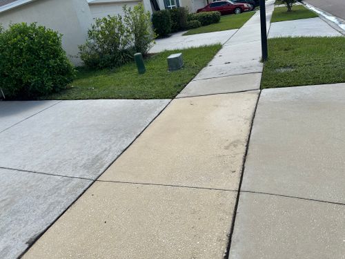 Pressure Washing for The Yardman in Tampa, FL