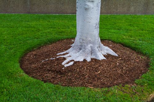 Mulch Installation for Tree Top Services in Fitch, TX