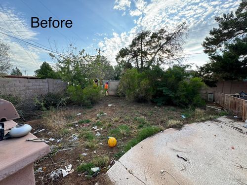 Stump Removal for By Faith Landscaping in Sierra Vista, AZ