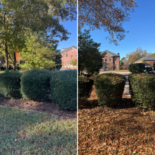 Mowing for Paul's Lawn Care and Pressure Washing in Wilson, NC