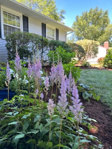  for Pronovost Landscaping & Irrigation in Palmer, MA