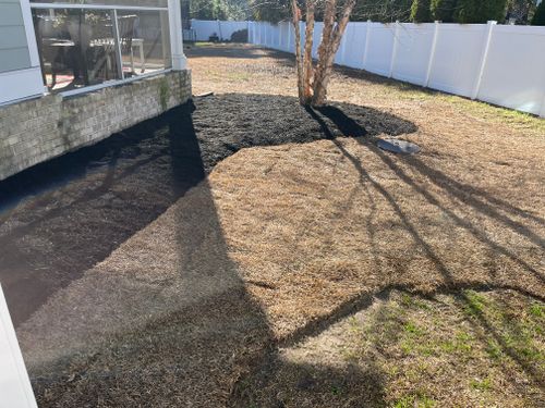 All Photos for New Creation Landscaping in Myrtle Beach, SC