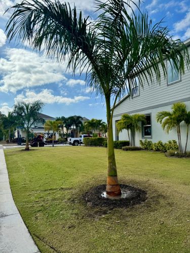 Landscaping for Shoreside Property Services in Apollo Beach, FL