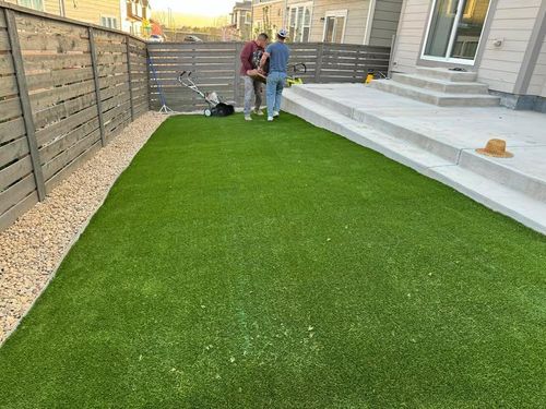 Artificial Turf Installation for Forever Green Turf Pros LLC in Greeley, CO